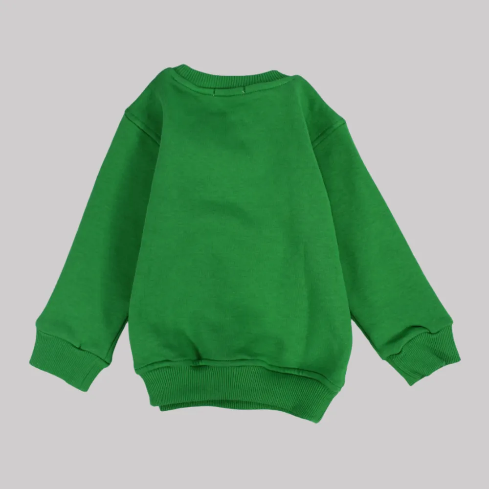 Plain Long-Sleeved Fleeced Sweatshirt